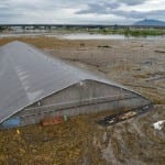 Flooded crop fields in Tochigi